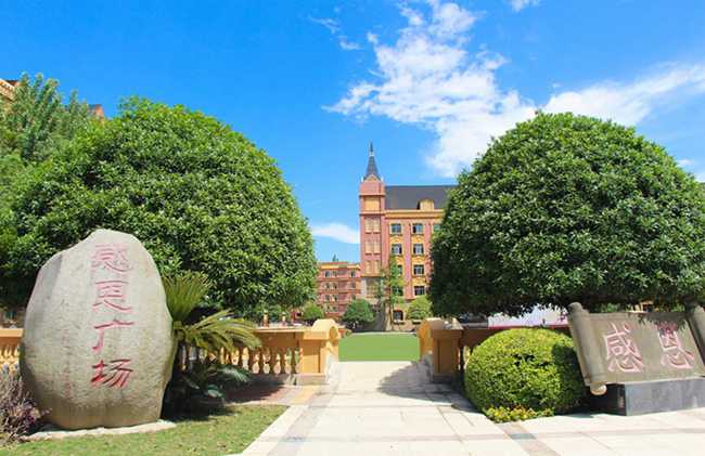 四川希望教育集团旗下学校有哪些,希望集团有哪些大学